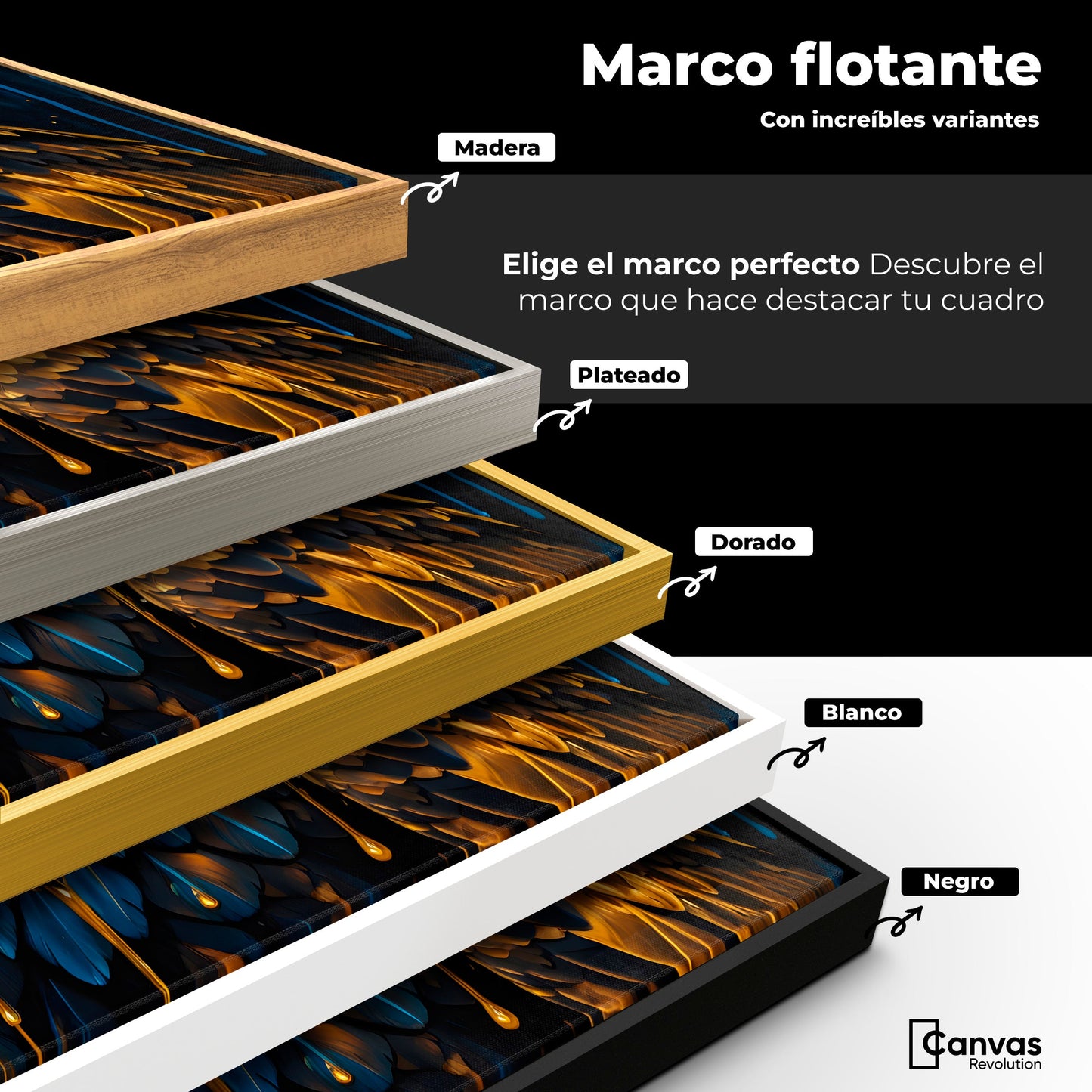 Cuadros Decorativos Canvas Revolution | Plumas Celestiales | ColoresMarco