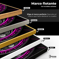 Cuadros Decorativos Canvas Revolution | Rosa En Ascenso | ColoresMarco