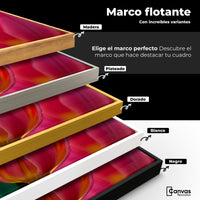 Cuadros Decorativos Canvas Revolution | Tulipanes Rosa Vivo | ColoresMarco