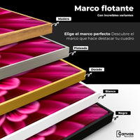 Cuadros Decorativos Canvas Revolution | Zinnia Magia Rosa | ColoresMarco