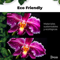 Cuadros Decorativos Canvas Revolution | Brillo De Cattleya | EcoFriendly