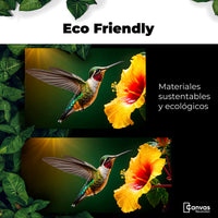 Cuadros Decorativos Canvas Revolution | Colibri Ala Nectar | EcoFriendly