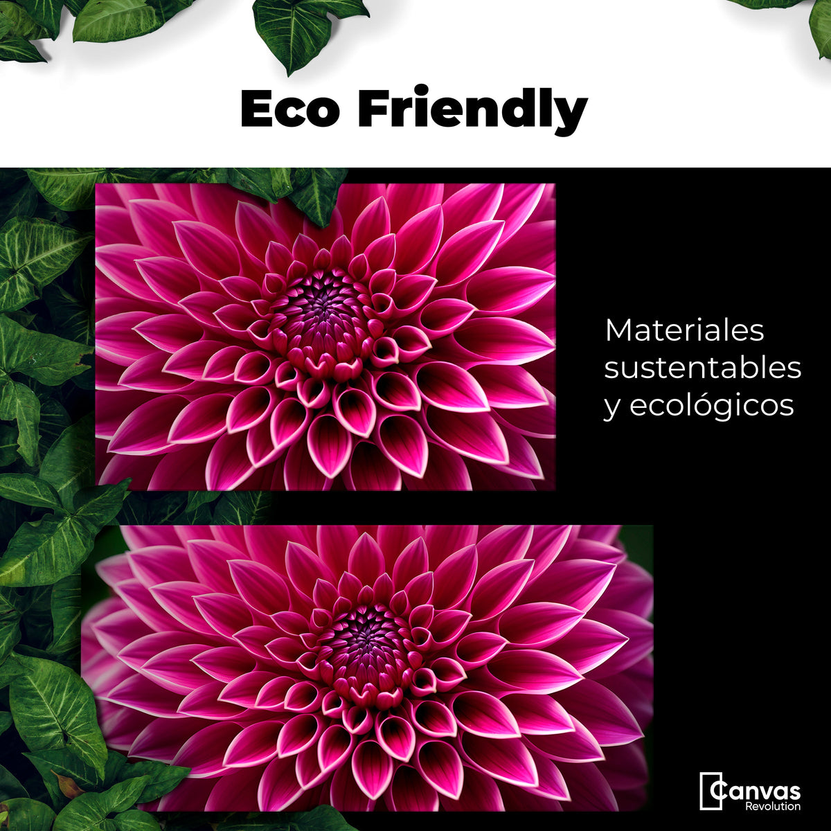 Cuadros Decorativos Canvas Revolution | Dalia Magenta Flor | EcoFriendly