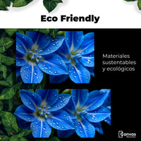 Cuadros Decorativos Canvas Revolution | Delphinium Azul | EcoFriendly