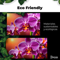 Cuadros Decorativos Canvas Revolution | Orquidea Morada Sol | EcoFriendly