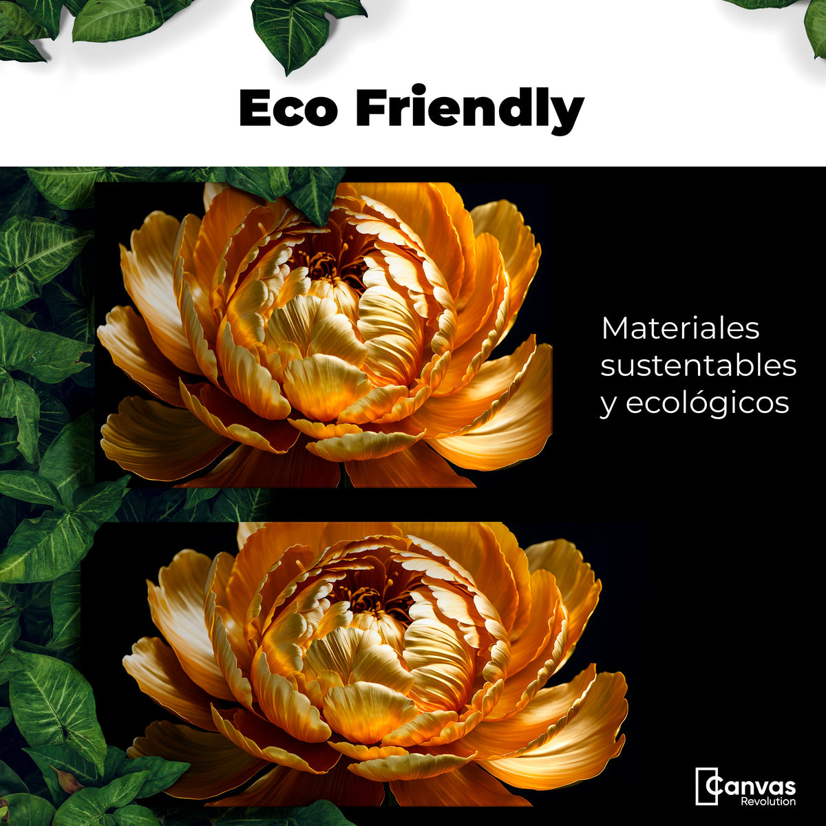 Cuadros Decorativos Canvas Revolution | Peonia Dorada Flor | EcoFriendly