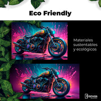 Cuadros Decorativos Canvas Revolution | Sueno Motorizado | EcoFriendly