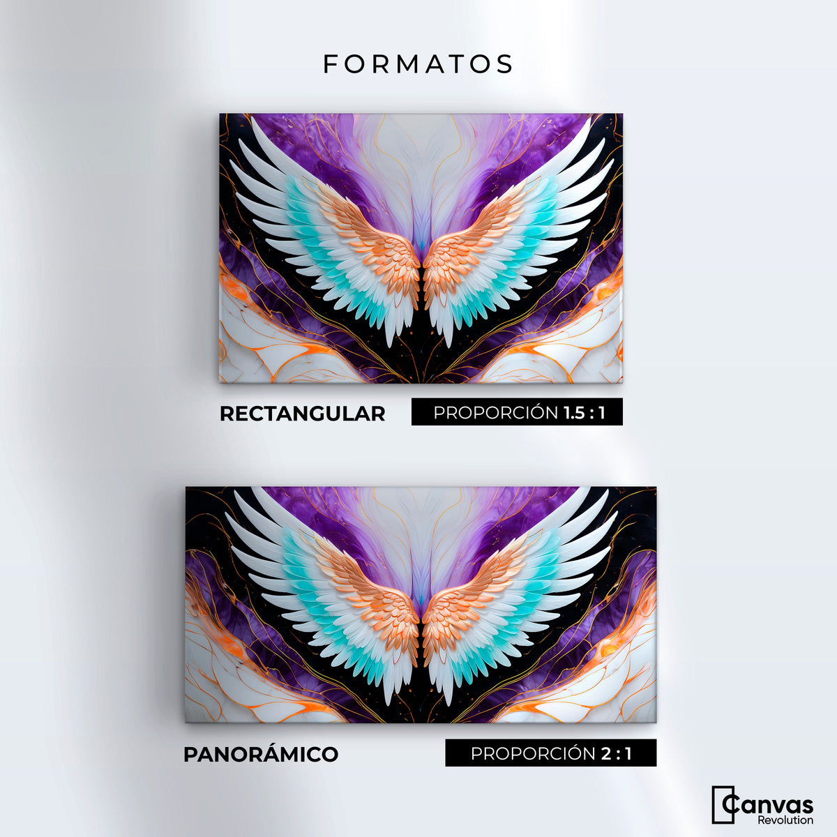 Cuadros Decorativos Canvas Revolution | Alas Angel Alma | Formatos