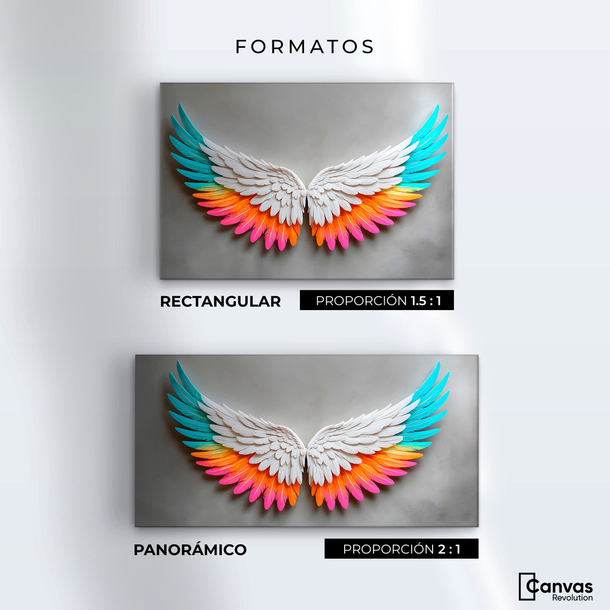 Cuadros Decorativos Canvas Revolution | Alas Angel Armonia | Formatos