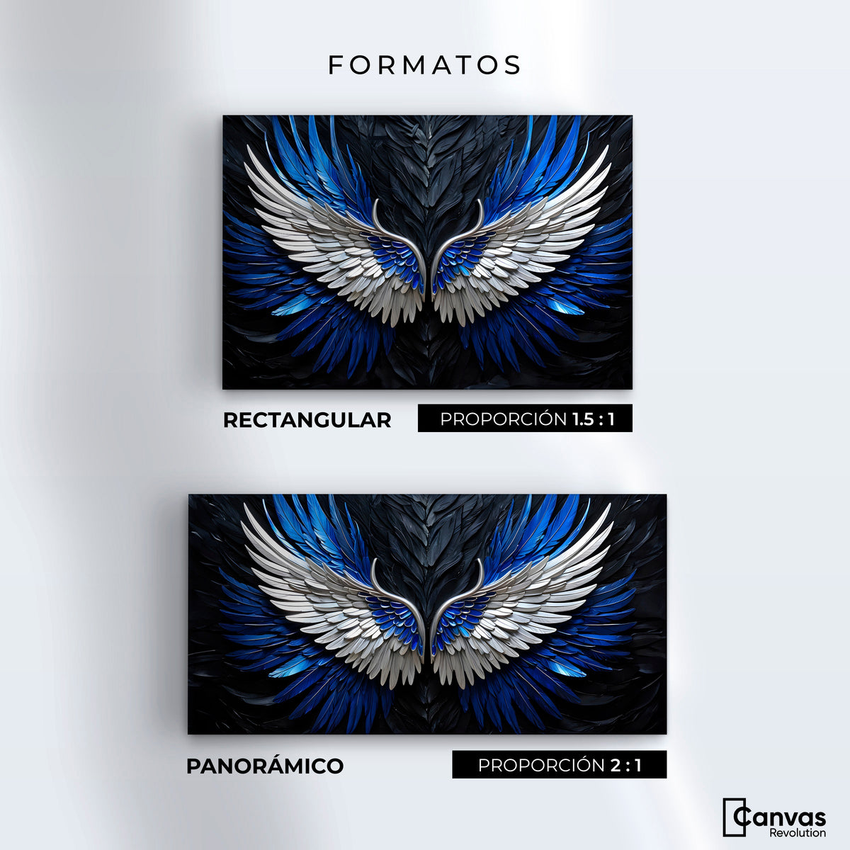 Cuadros Decorativos Canvas Revolution | Alas Angel Cosmico | Formatos