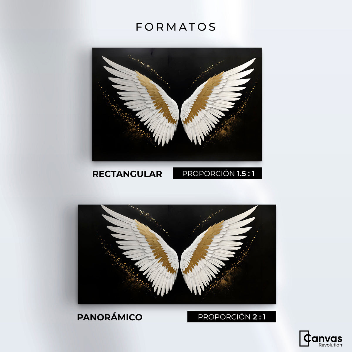 Cuadros Decorativos Canvas Revolution | Alas Angel Eleganza | Formatos