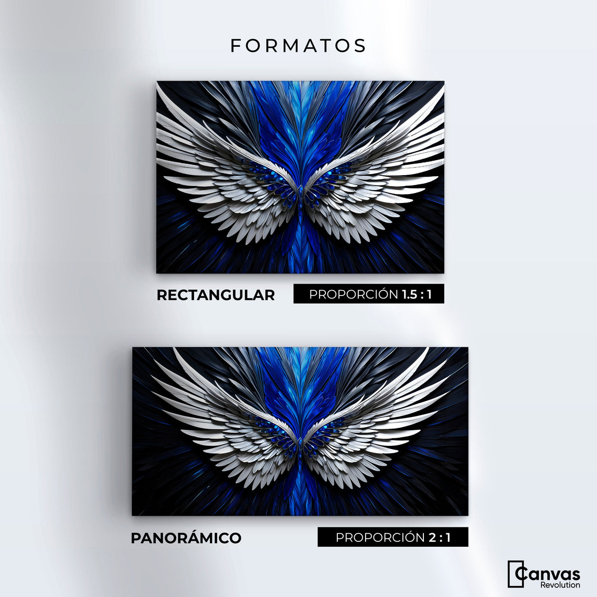 Cuadros Decorativos Canvas Revolution | Alas Angel Energia | Formatos