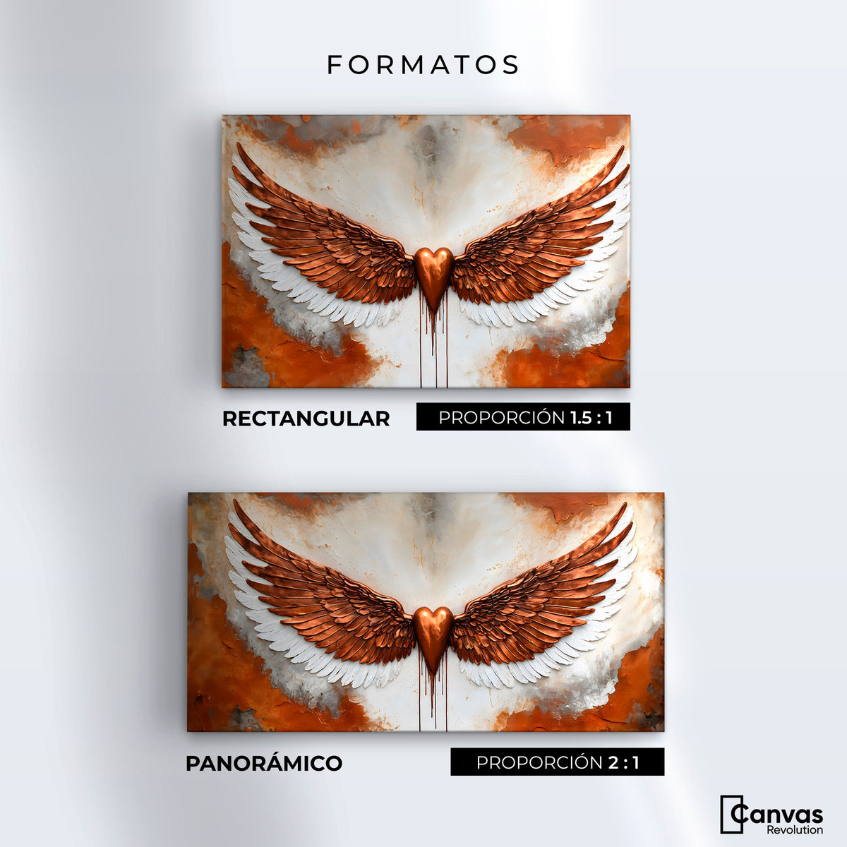 Cuadros Decorativos Canvas Revolution | Alas Angel Fuerza | Formatos