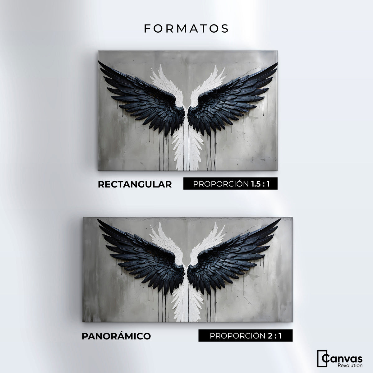 Cuadros Decorativos Canvas Revolution | Alas Angel Oscuro | Formatos