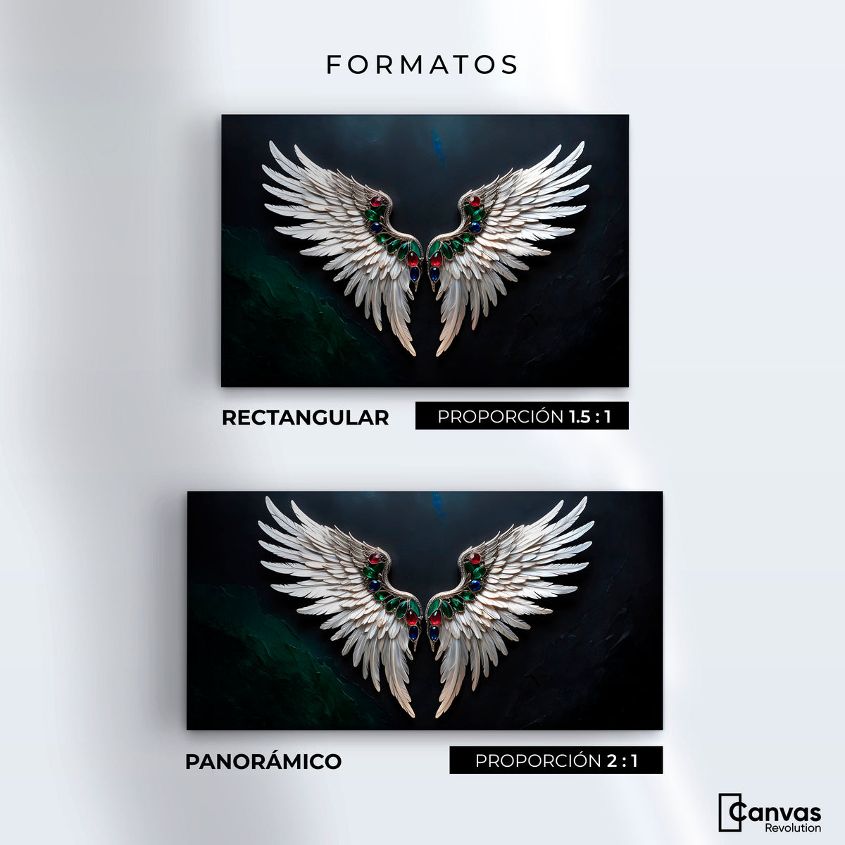 Cuadros Decorativos Canvas Revolution | Alas Angel Profundo | Formatos