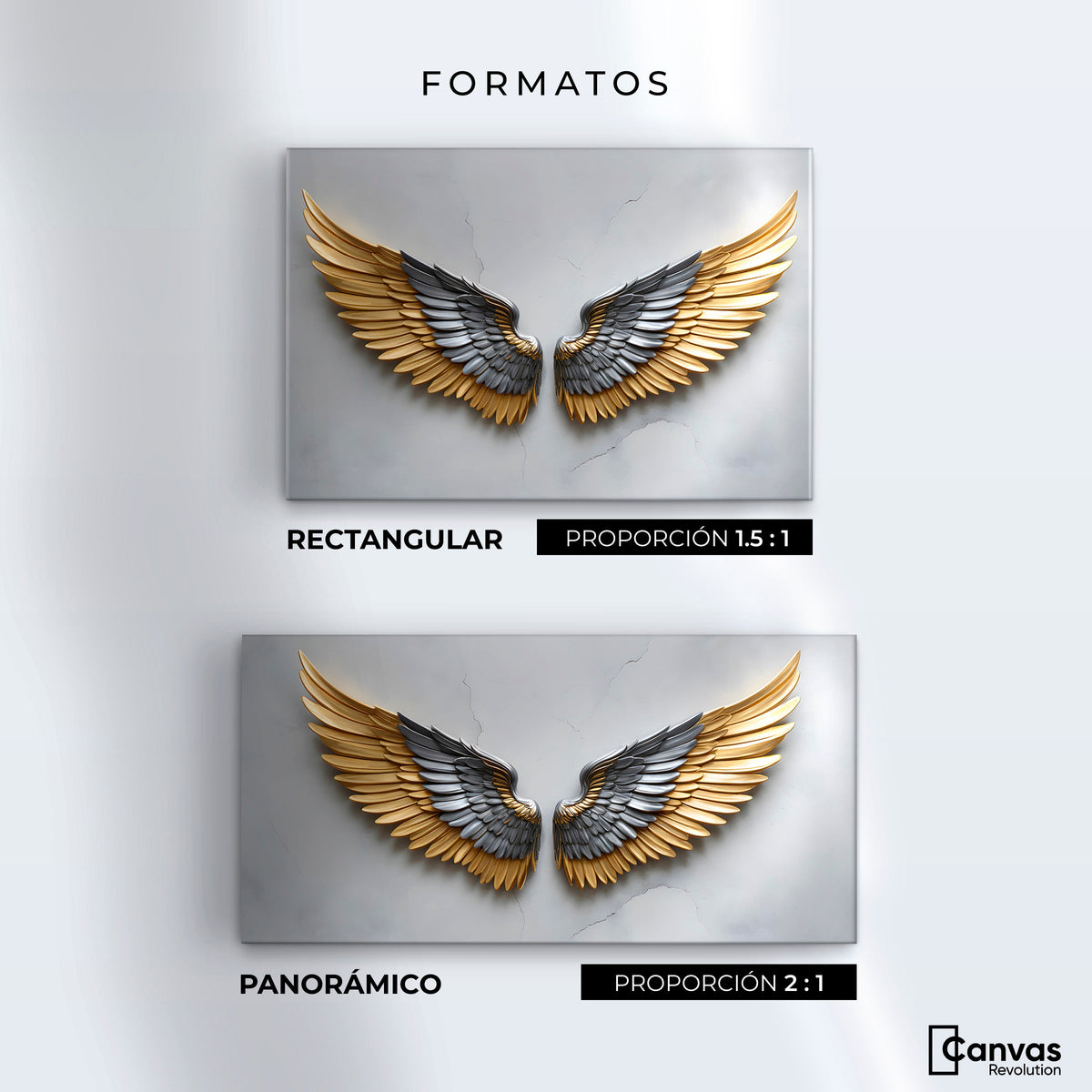 Cuadros Decorativos Canvas Revolution | Alas Angel Sereno | Formatos