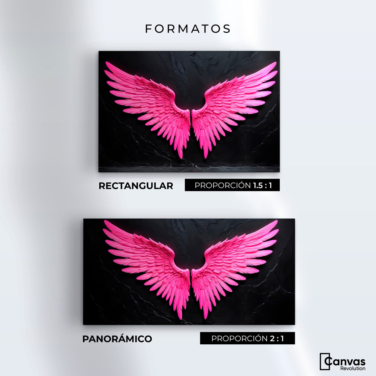 Cuadros Decorativos Canvas Revolution | Alas Angel Solar | Formatos