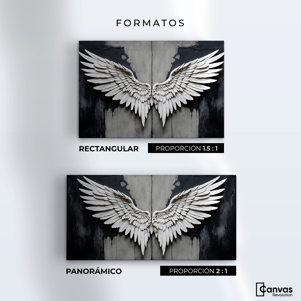 Cuadros Decorativos Canvas Revolution | Alas Angel Sombra | Formatos
