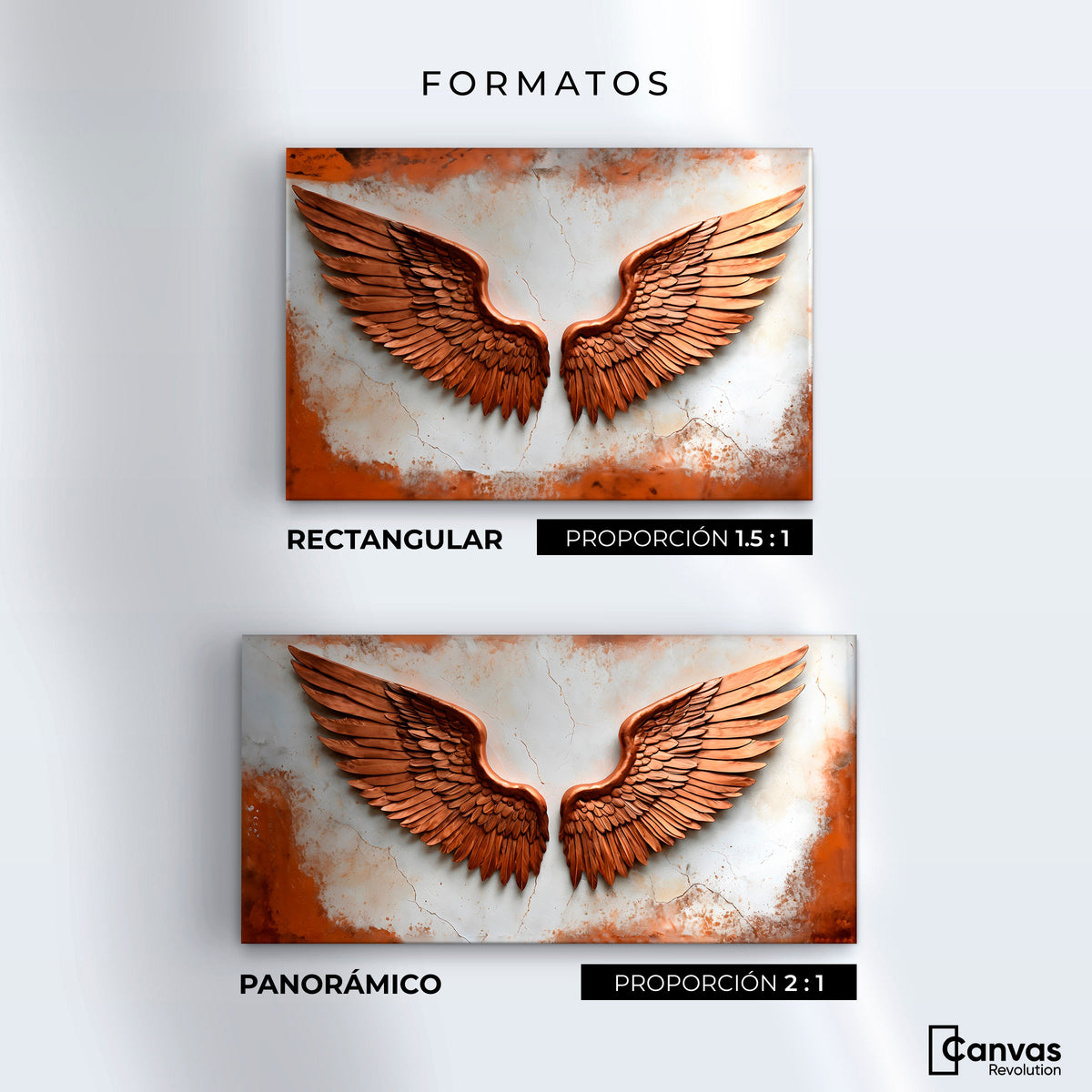 Cuadros Decorativos Canvas Revolution | Alas Angel Sublime | Formatos