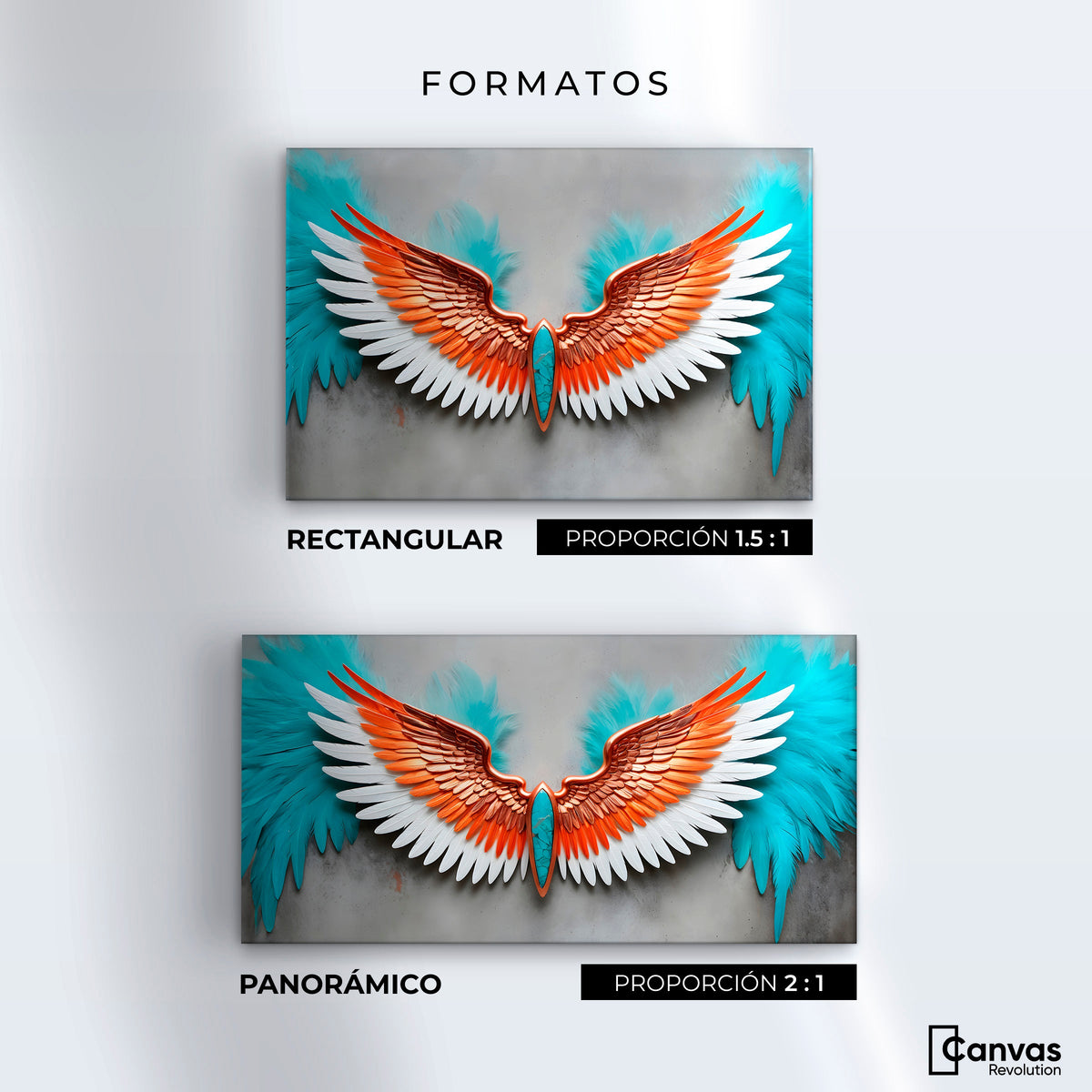 Cuadros Decorativos Canvas Revolution | Alas Angel Suenos | Formatos