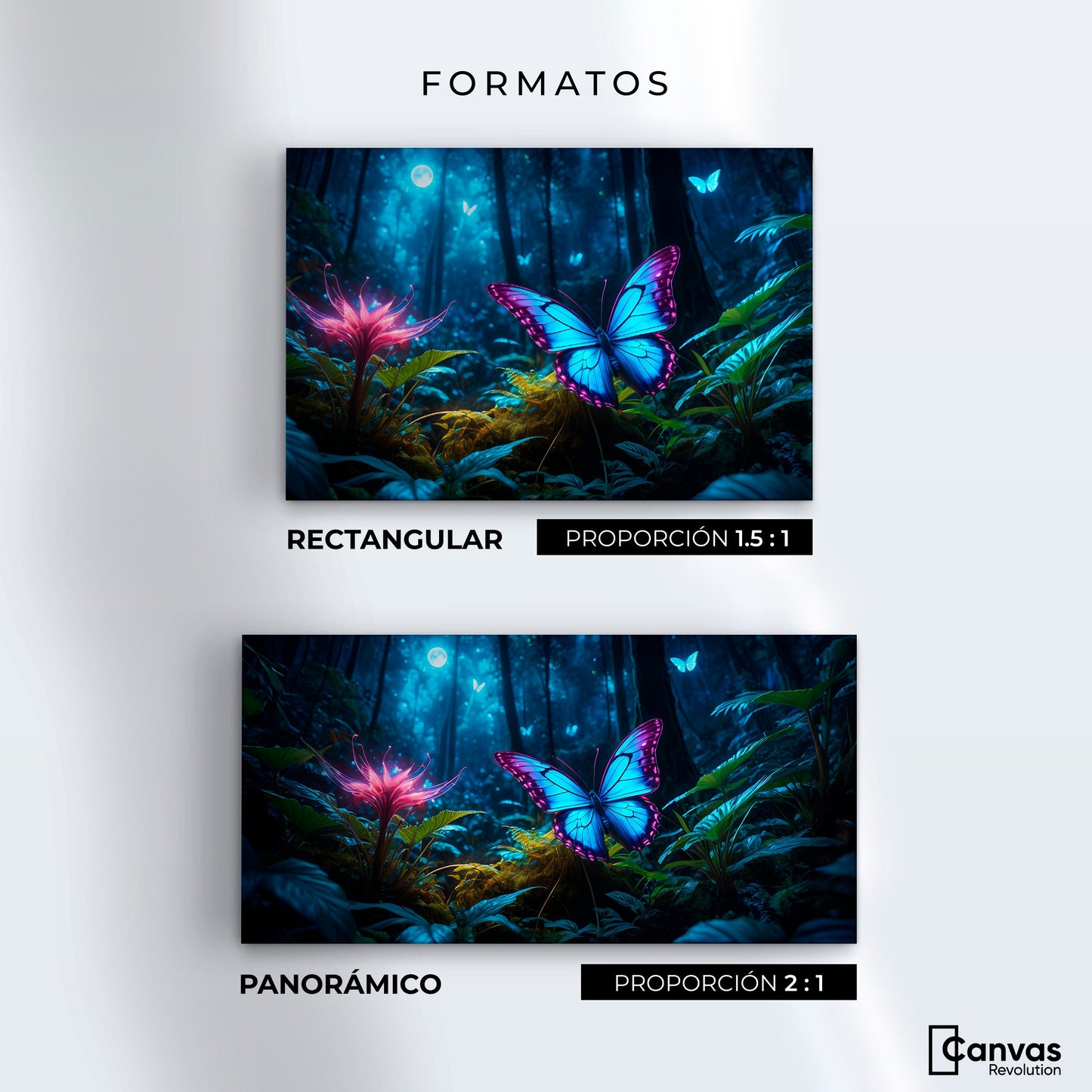 Cuadros Decorativos Canvas Revolution | Alas Brillantes | Formatos
