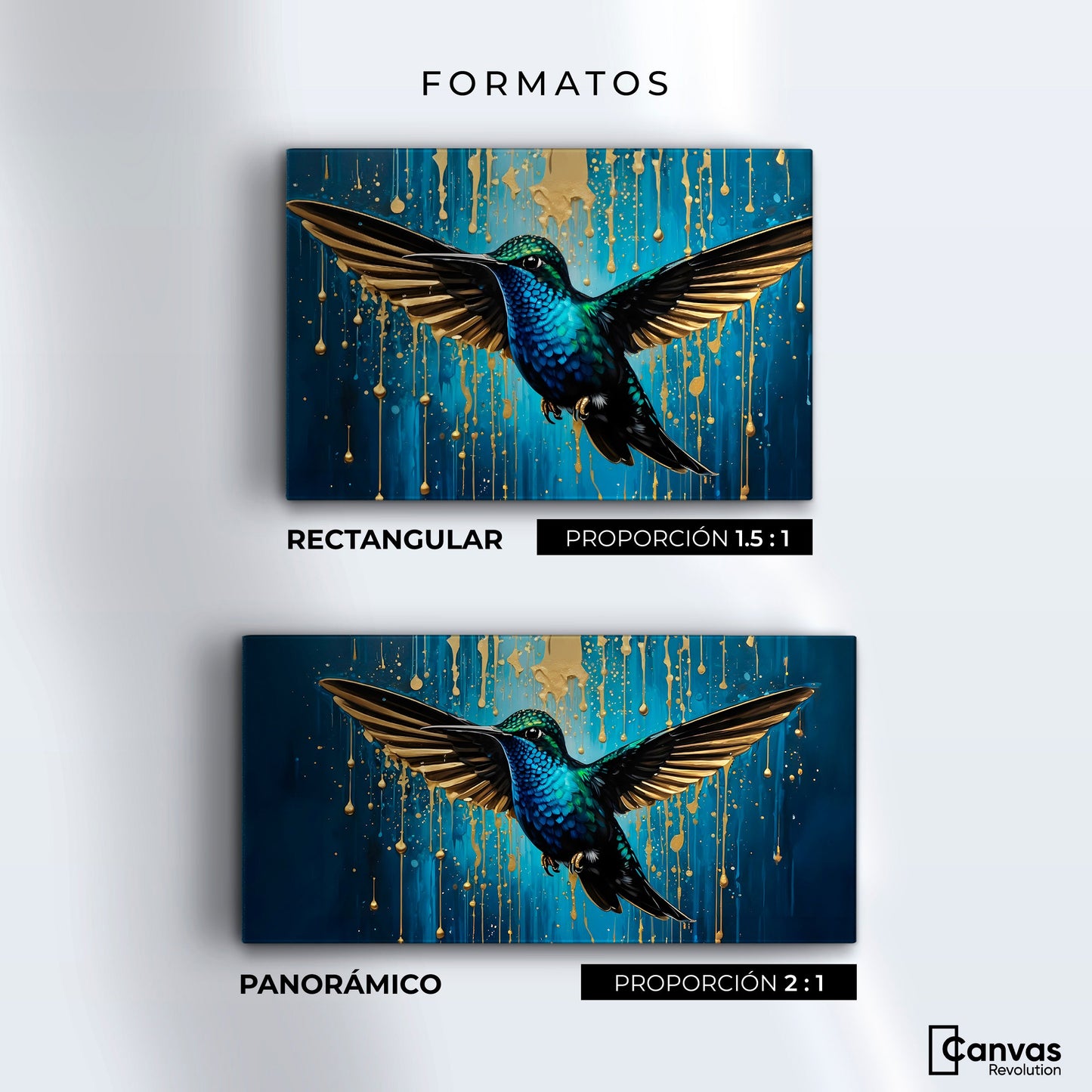Cuadros Decorativos Canvas Revolution | Alas Celestiales | Formatos