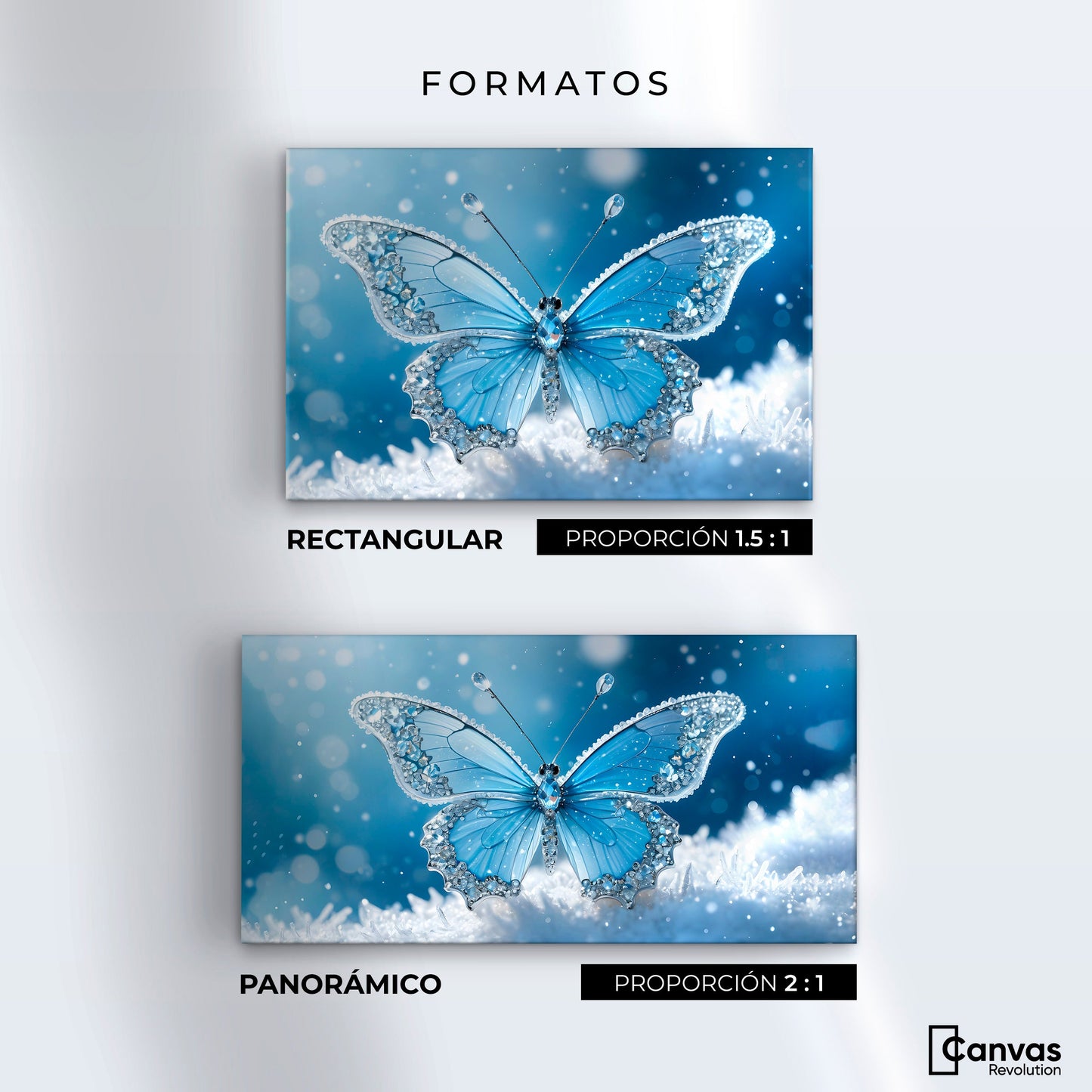 Cuadros Decorativos Canvas Revolution | Alas De Diamante | Formatos