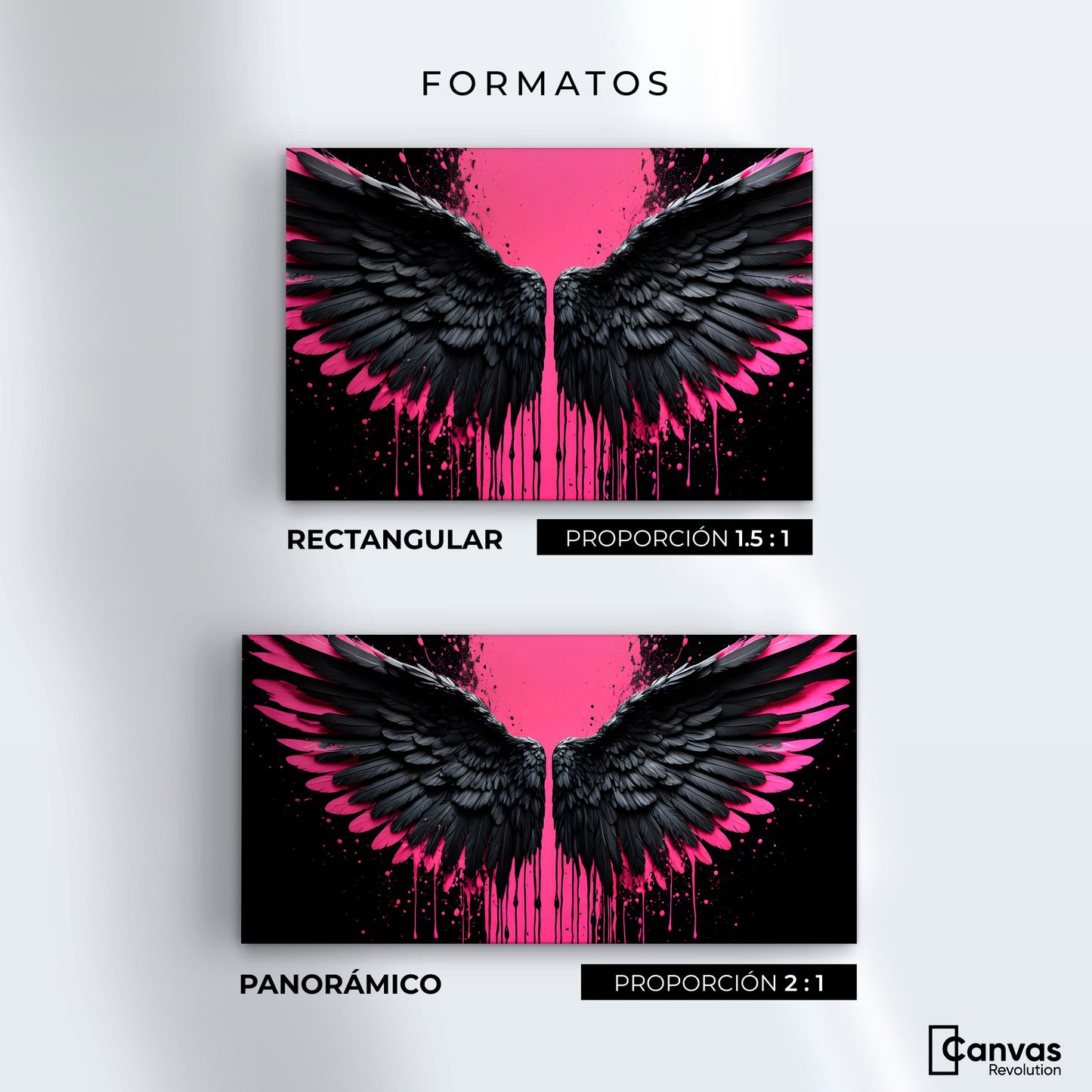 Cuadros Decorativos Canvas Revolution | Alas De Esperanza | Formatos