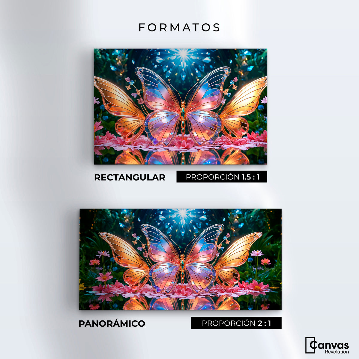Cuadros Decorativos Canvas Revolution | Alas De Esplendor | Formatos