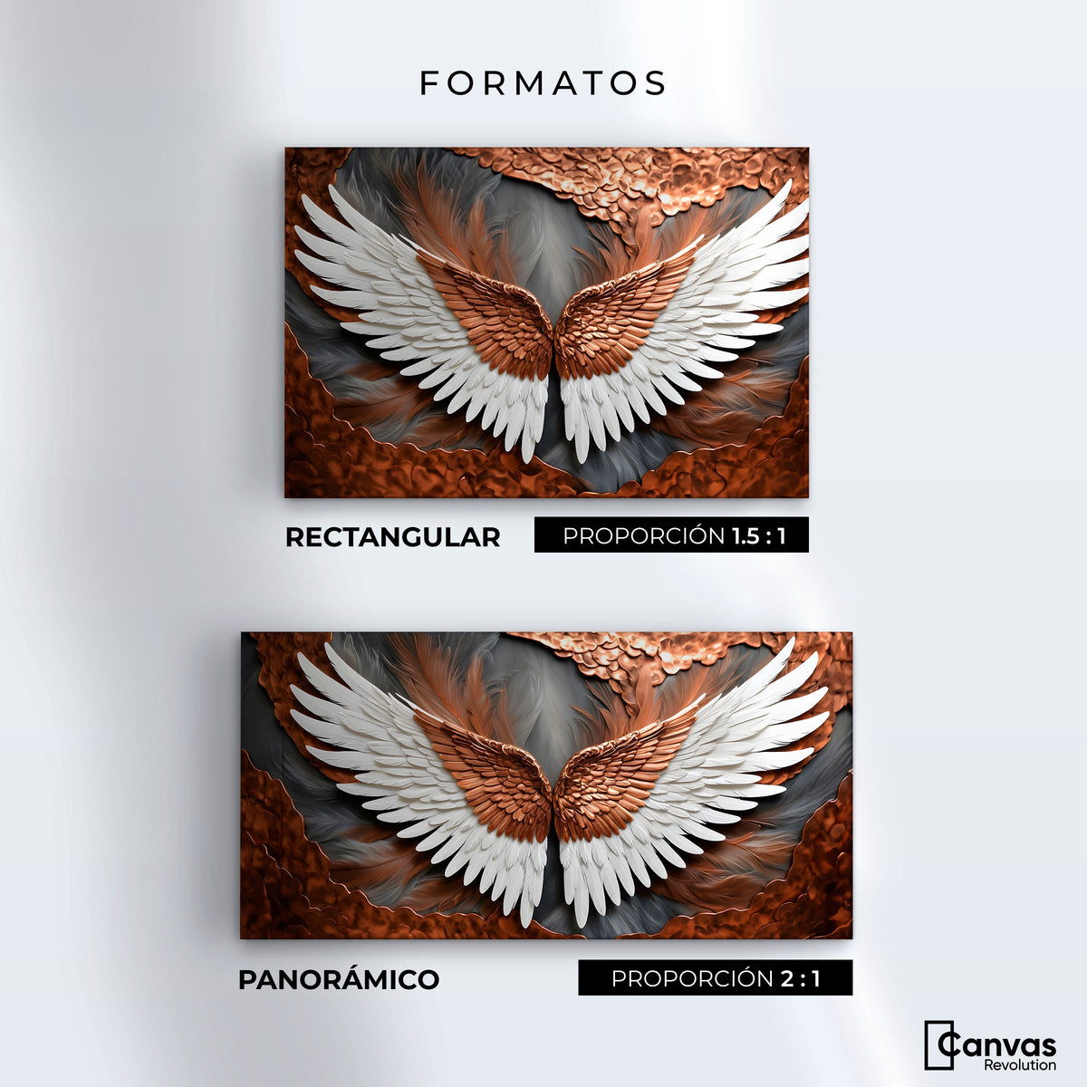 Cuadros Decorativos Canvas Revolution | Alas De Eternidad | Formatos