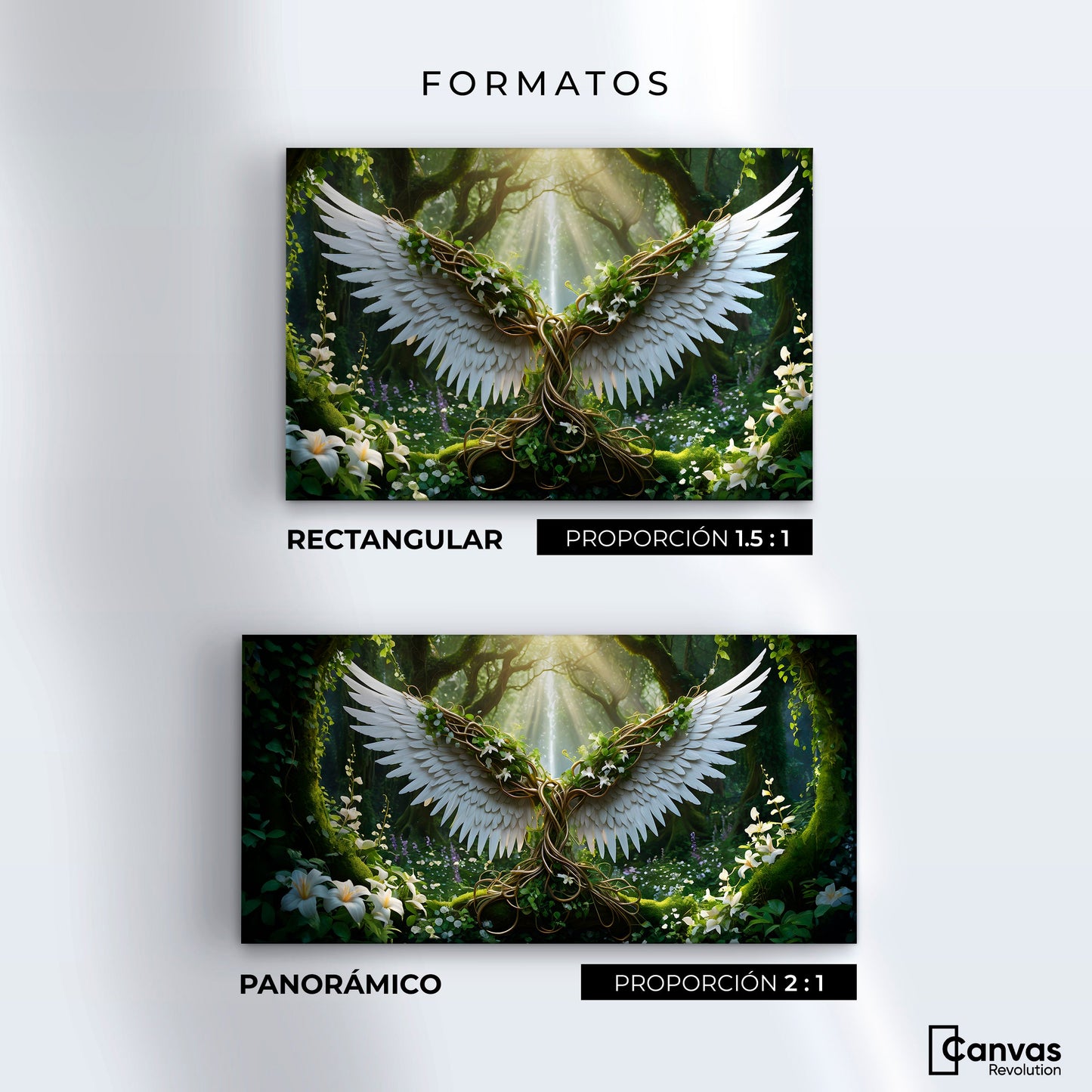 Cuadros Decorativos Canvas Revolution | Alas De La Jungla | Formatos