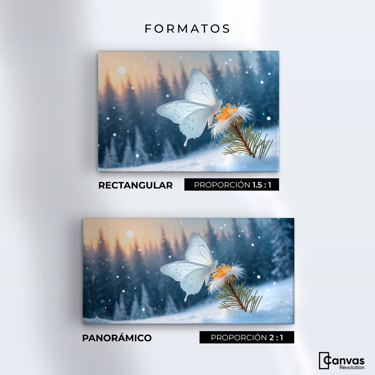 Cuadros Decorativos Canvas Revolution | Alas De Nieve | Formatos