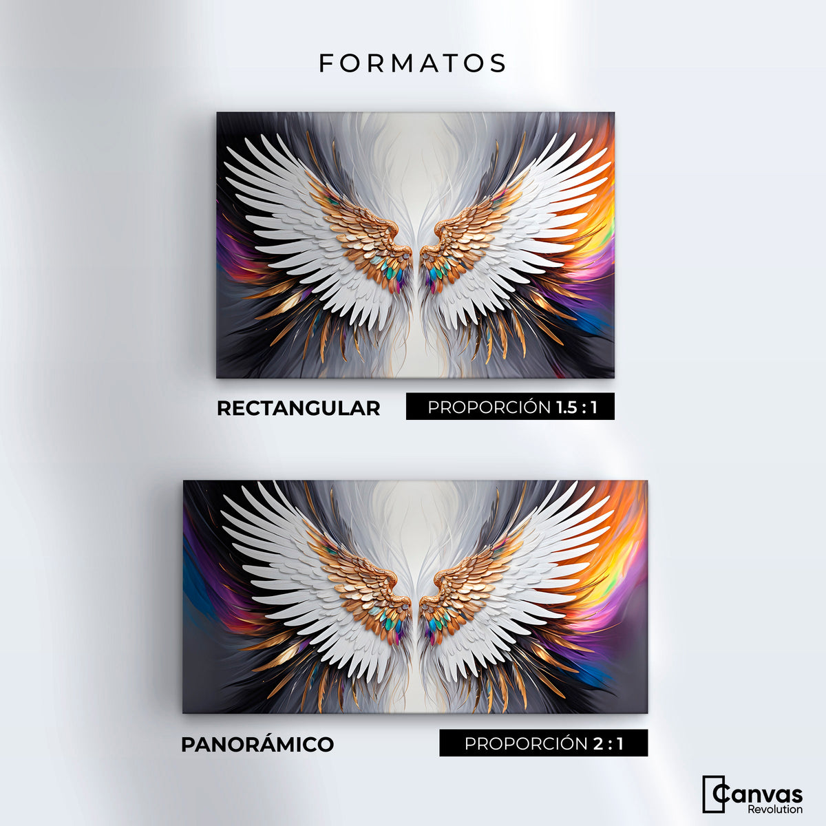 Cuadros Decorativos Canvas Revolution | Alas De Sueno | Formatos