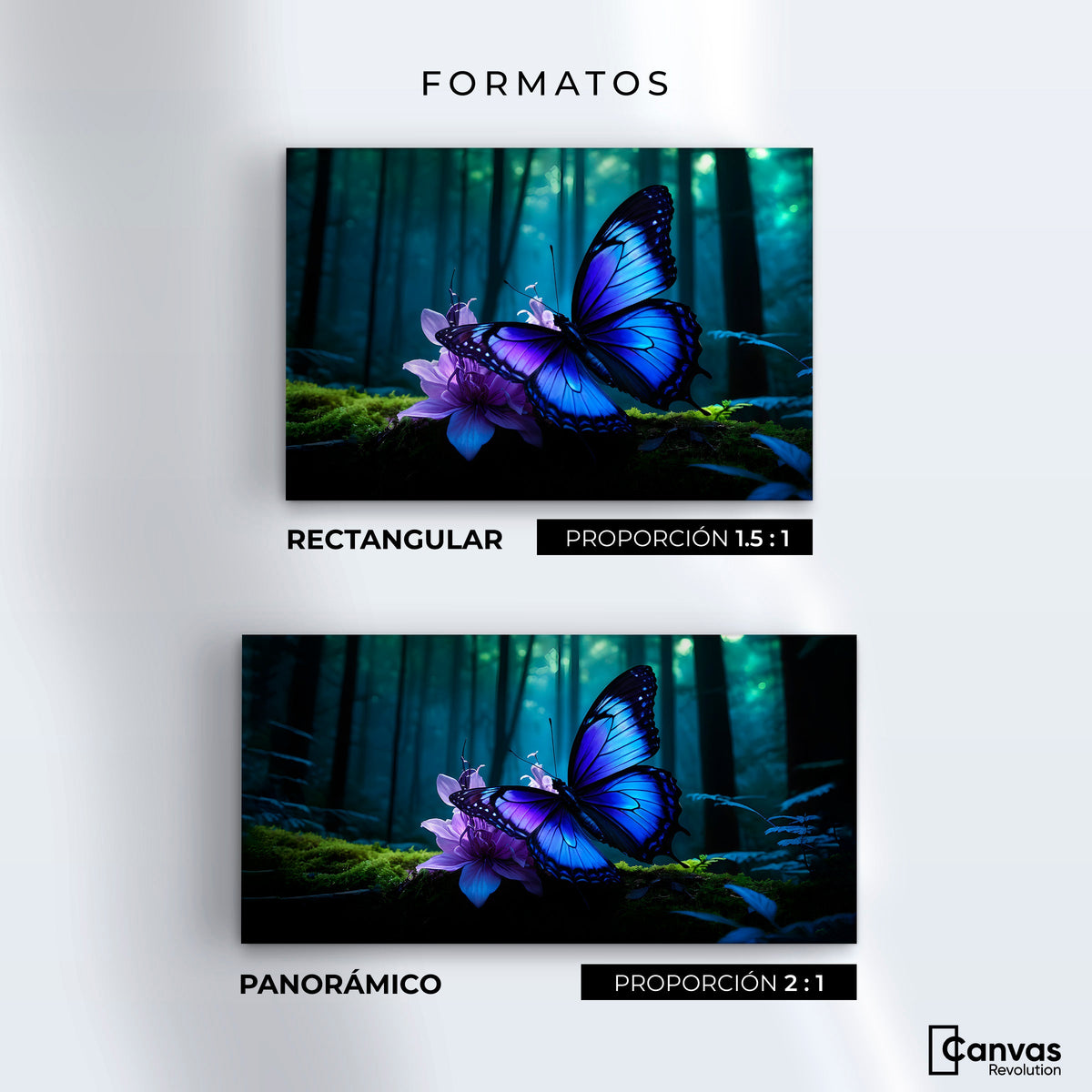 Cuadros Decorativos Canvas Revolution | Alas Entre Arboles | Formatos