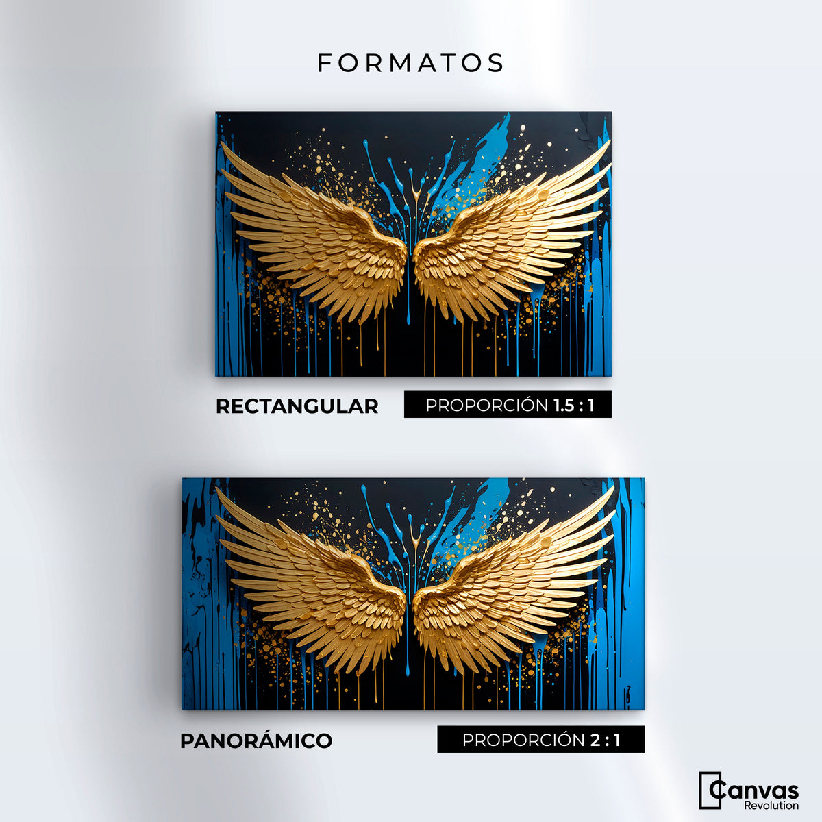 Cuadros Decorativos Canvas Revolution | Alas Oro Splash | Formatos