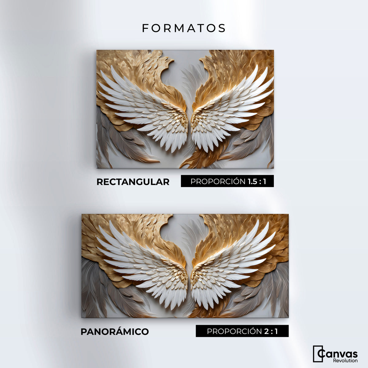 Cuadros Decorativos Canvas Revolution | Alas Plumas Doradas | Formatos