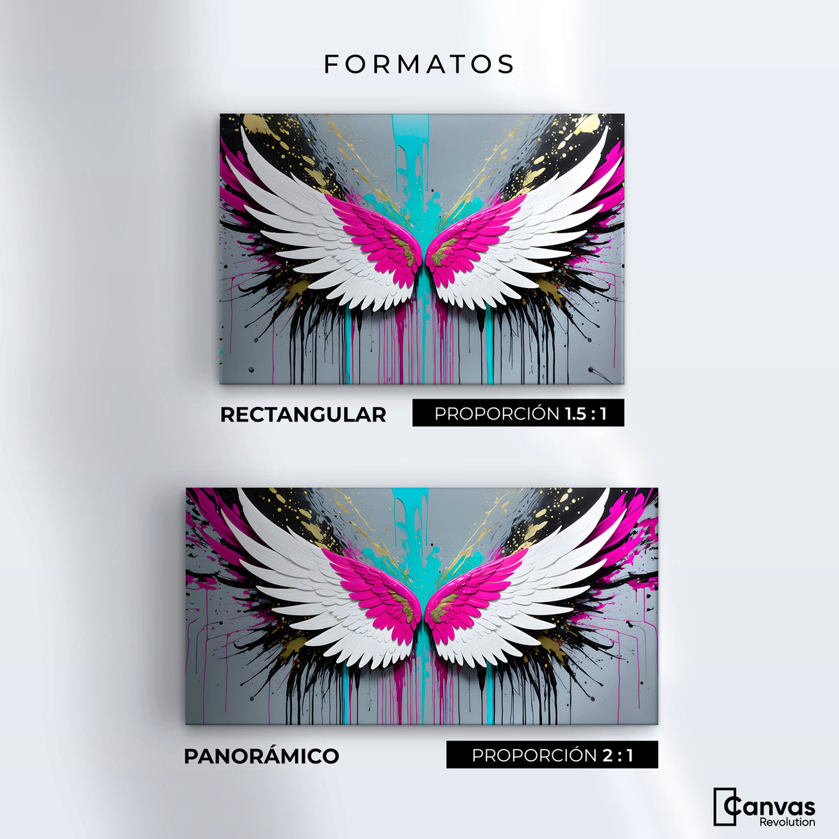 Cuadros Decorativos Canvas Revolution | Alas Vuelo Eterno | Formatos