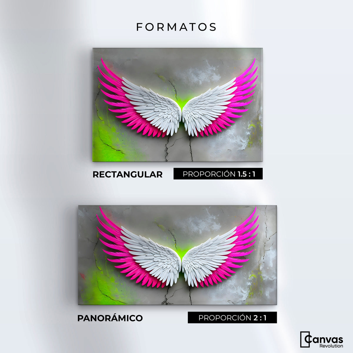 Cuadros Decorativos Canvas Revolution | Alas Vuelo Intenso | Formatos