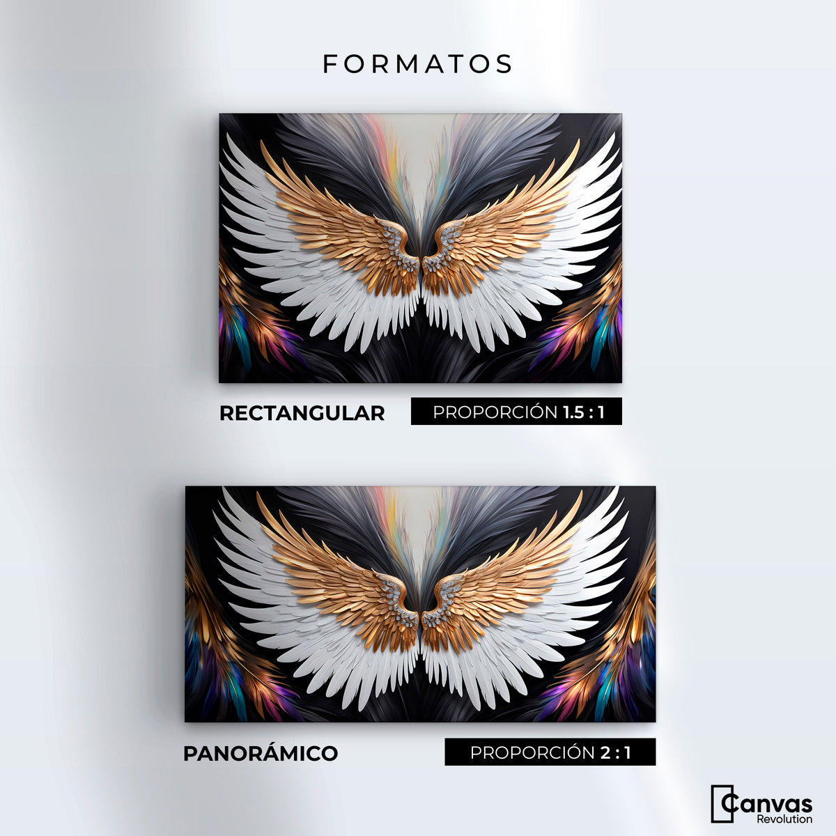 Cuadros Decorativos Canvas Revolution | Alas Vuelo Mistico | Formatos