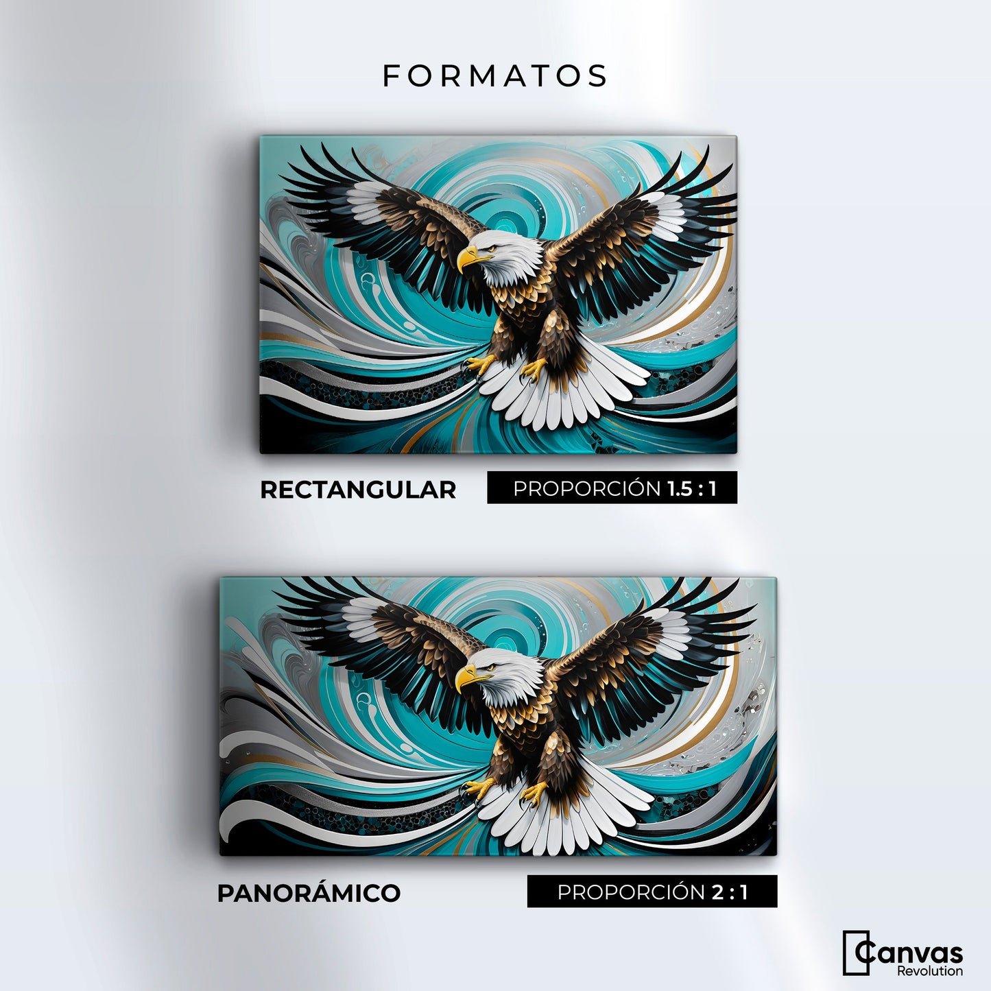 Cuadros Decorativos Canvas Revolution | Alma De Aguila | Formatos