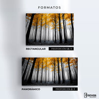 Cuadros Decorativos Canvas Revolution | Amarillo Silente | Formatos
