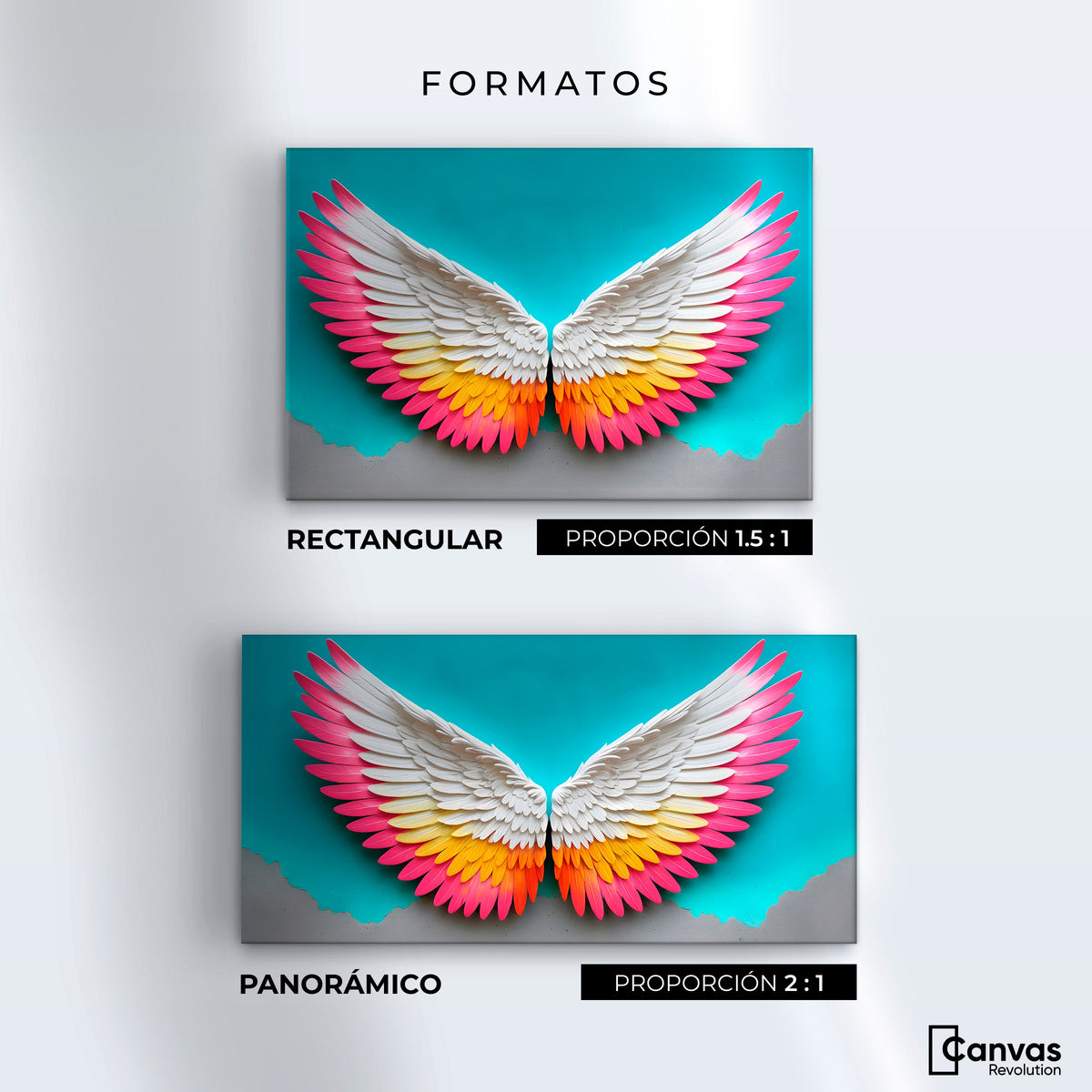 Cuadros Decorativos Canvas Revolution | Angel Alas De Paz | Formatos