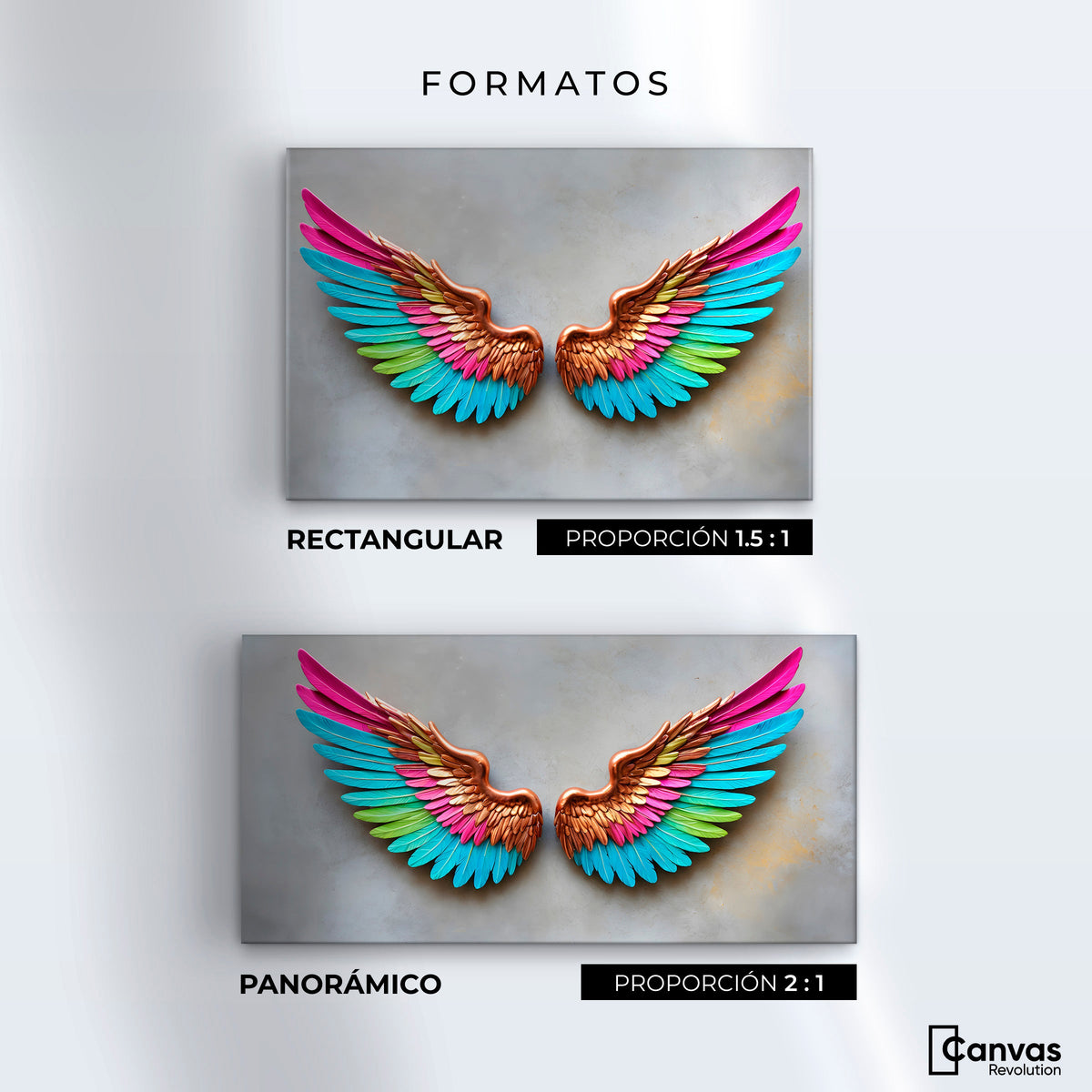 Cuadros Decorativos Canvas Revolution | Angel Resplandor | Formatos