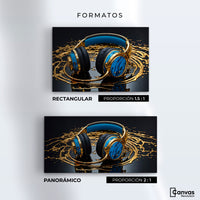 Cuadros Decorativos Canvas Revolution | Armonia Electronica | Formatos