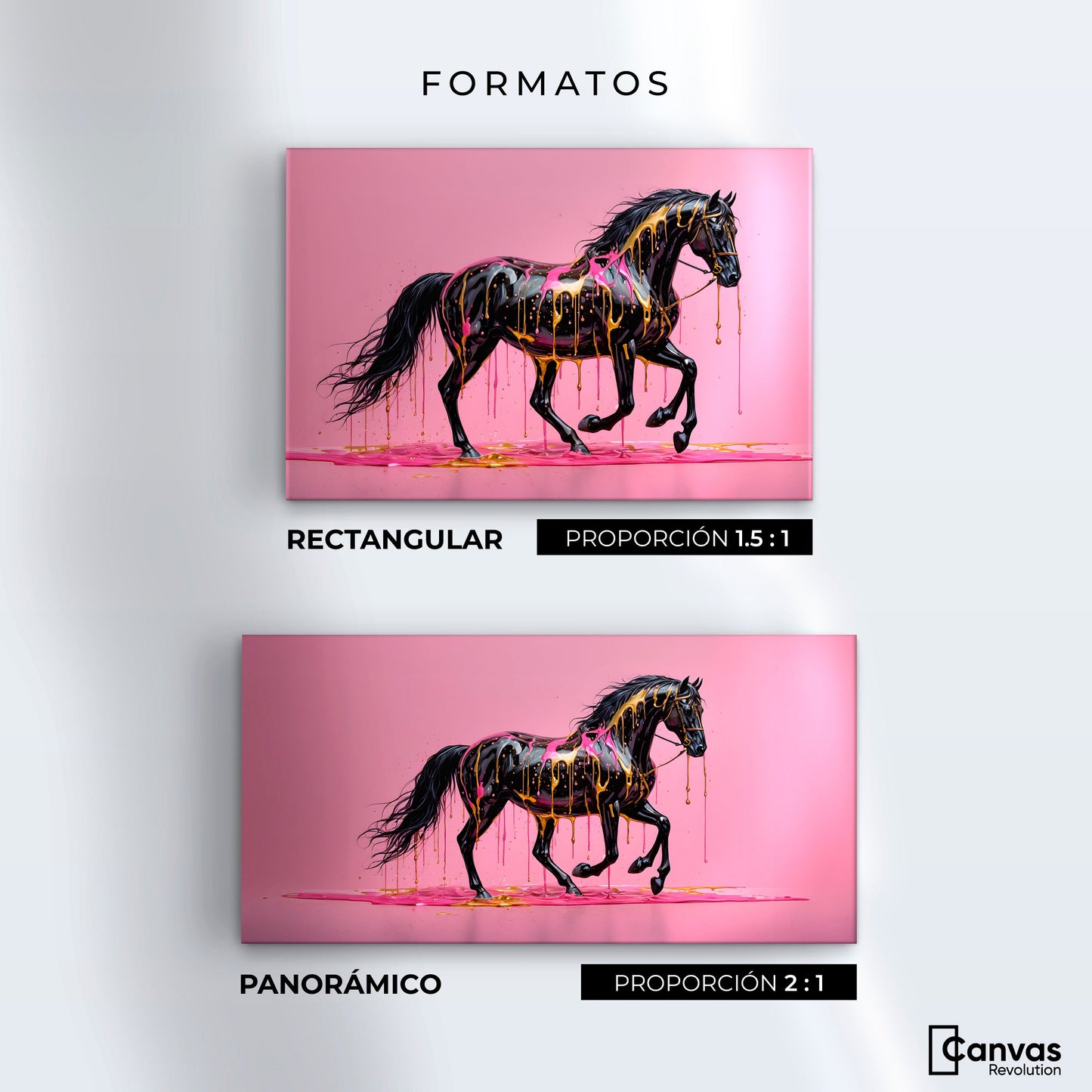 Cuadros Decorativos Canvas Revolution | Arte Equino Moderno | Formatos