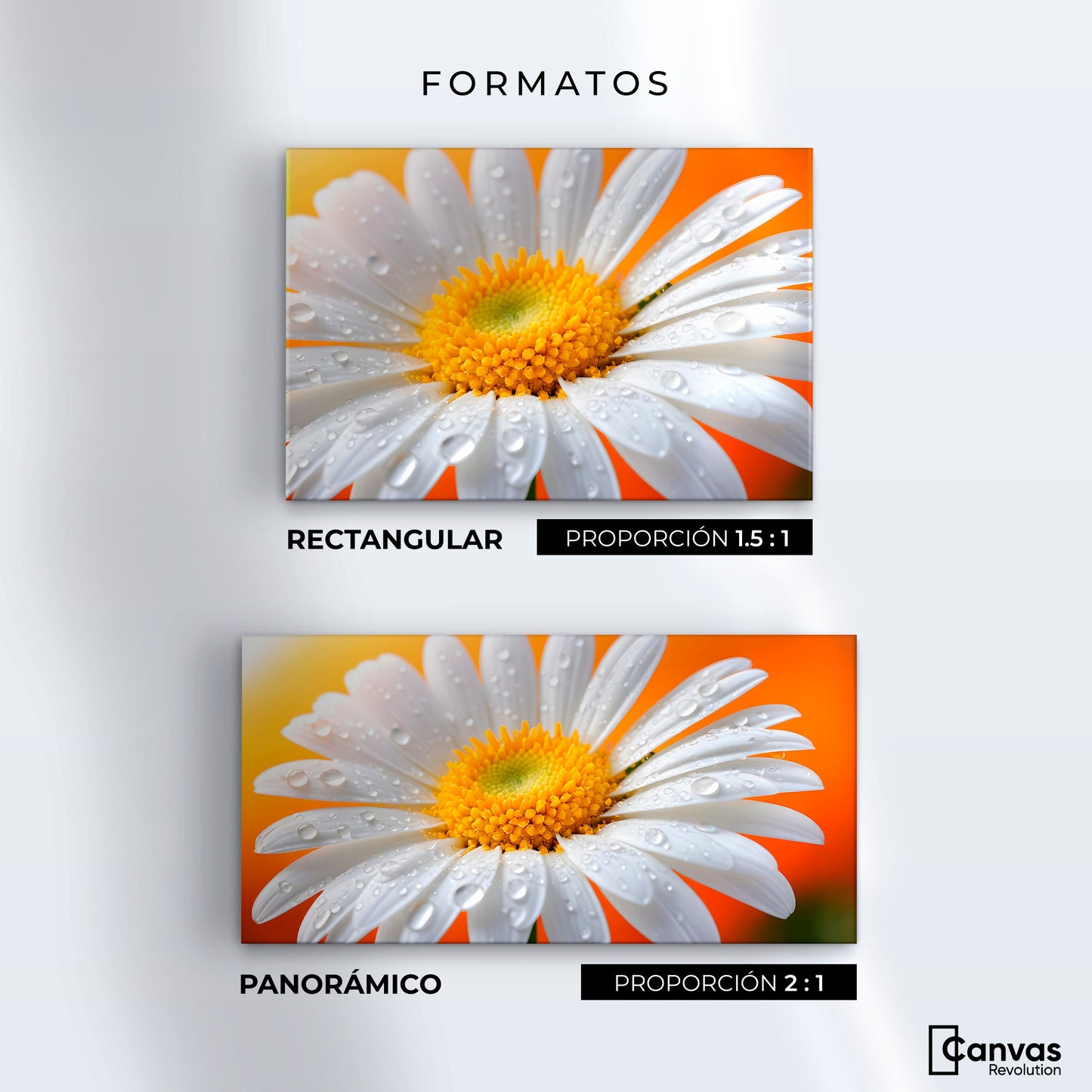 Cuadros Decorativos Canvas Revolution | Aura De Margarita | Formatos