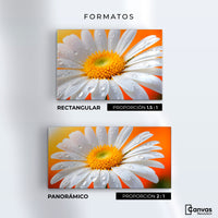 Cuadros Decorativos Canvas Revolution | Aura De Margarita | Formatos