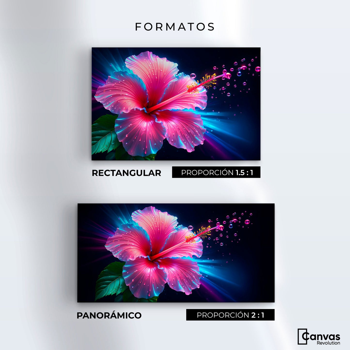 Cuadros Decorativos Canvas Revolution | Aura Hibisco Magico | Formatos