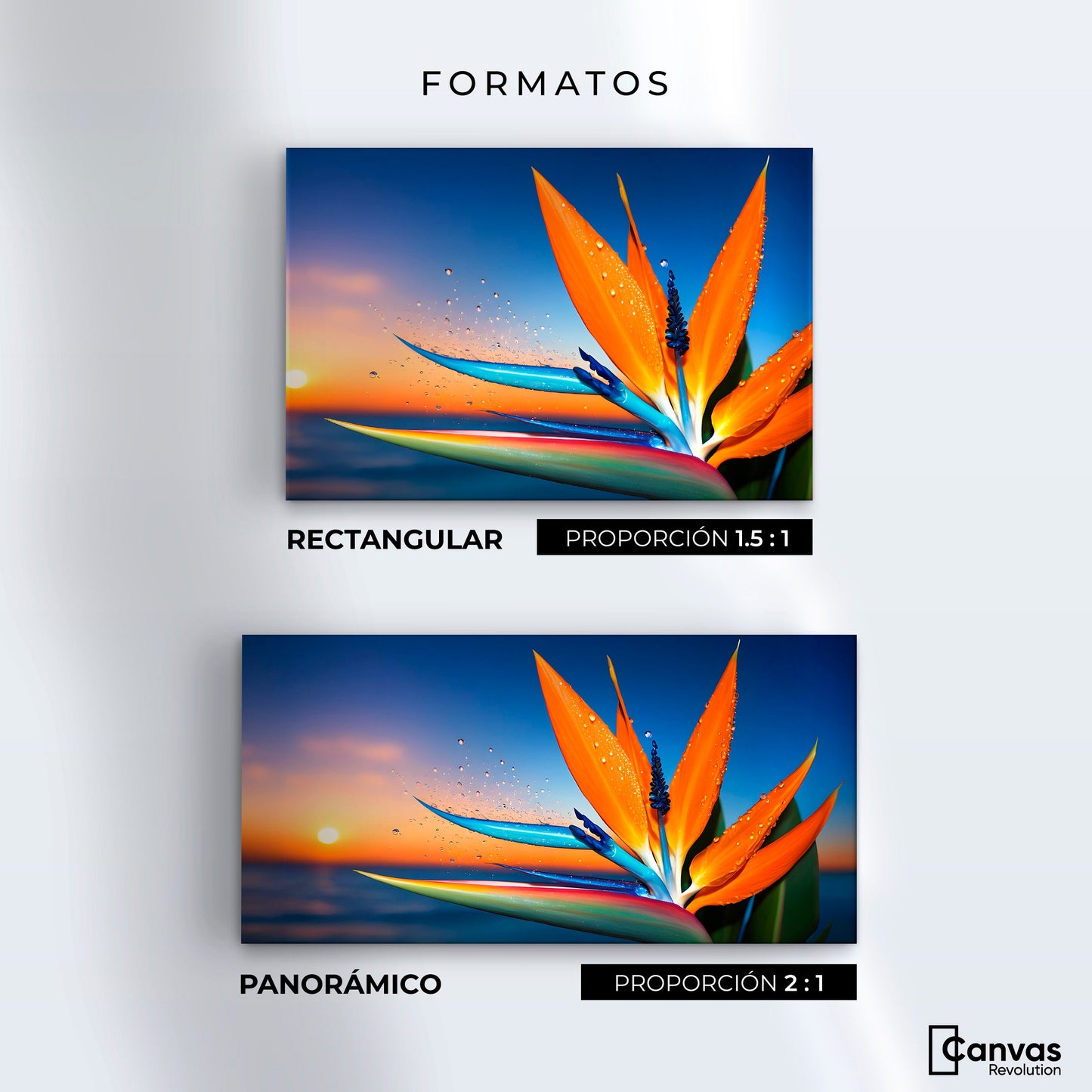 Cuadros Decorativos Canvas Revolution | Ave De Paraiso Vivo | Formatos