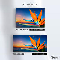 Cuadros Decorativos Canvas Revolution | Ave De Paraiso Vivo | Formatos